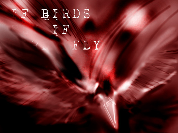IF BIRDS FLY