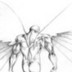 Preview of Winged Study